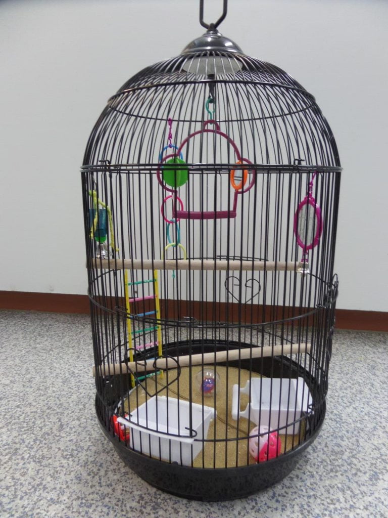 cages for pet birds