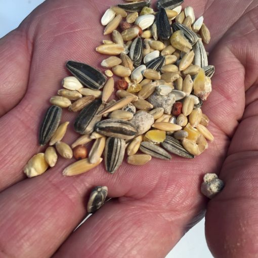 Extremely unhealthy sunflower seed mix