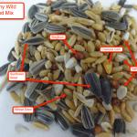 Unhealthy Wild Bird Seed Mix