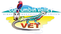 Currumbin Valley Vet