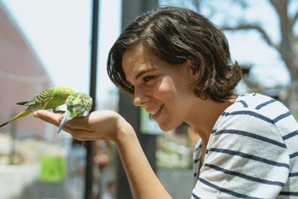 Exotic Pets and Conservation